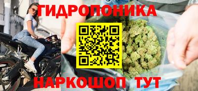 ГАЛЛЮЦИНОГЕННЫЕ ГРИБЫ Ликино-Дулёво