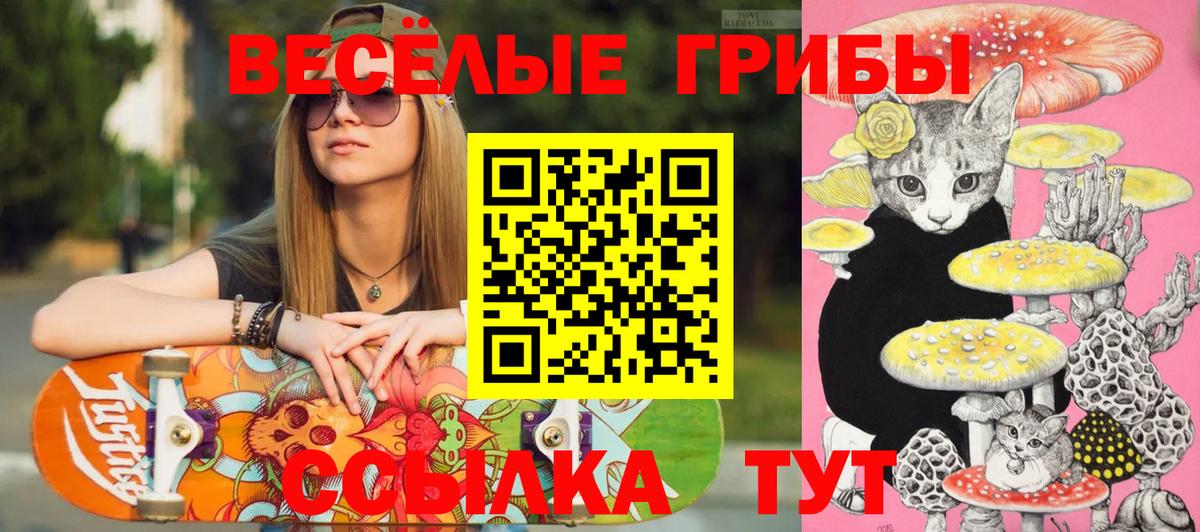 Железноводск  наркотики  Вход с VPN  Галлюциногенные грибы Psilocybine cubensis 